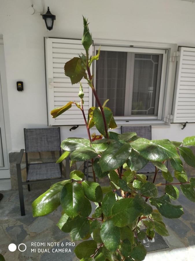 Chrysanty'S Tea House Apartment Kalambaka Exterior photo