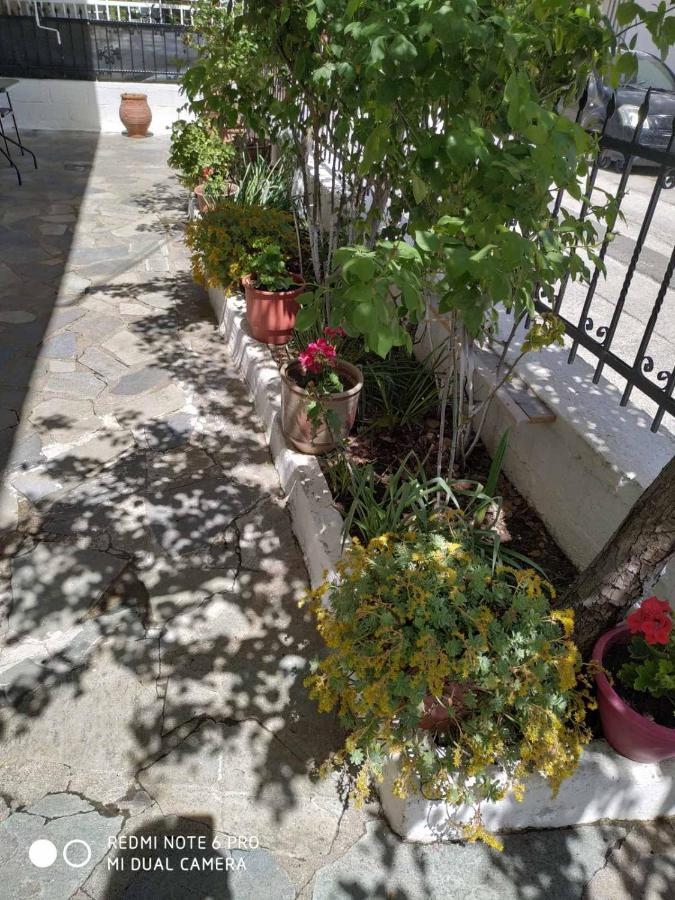 Chrysanty'S Tea House Apartment Kalambaka Exterior photo