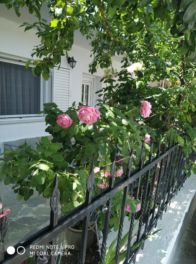 Chrysanty'S Tea House Apartment Kalambaka Exterior photo