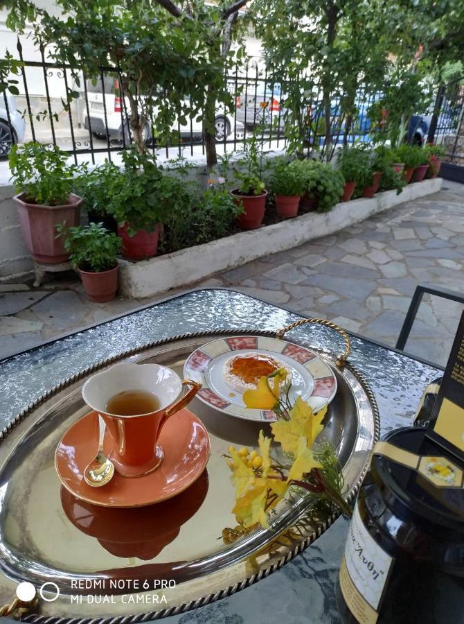 Chrysanty'S Tea House Apartment Kalambaka Exterior photo